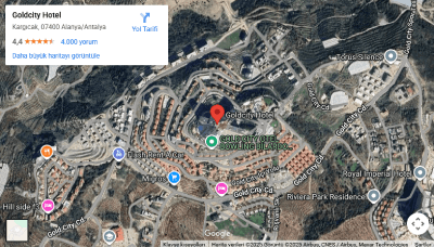 Click to load Google Maps